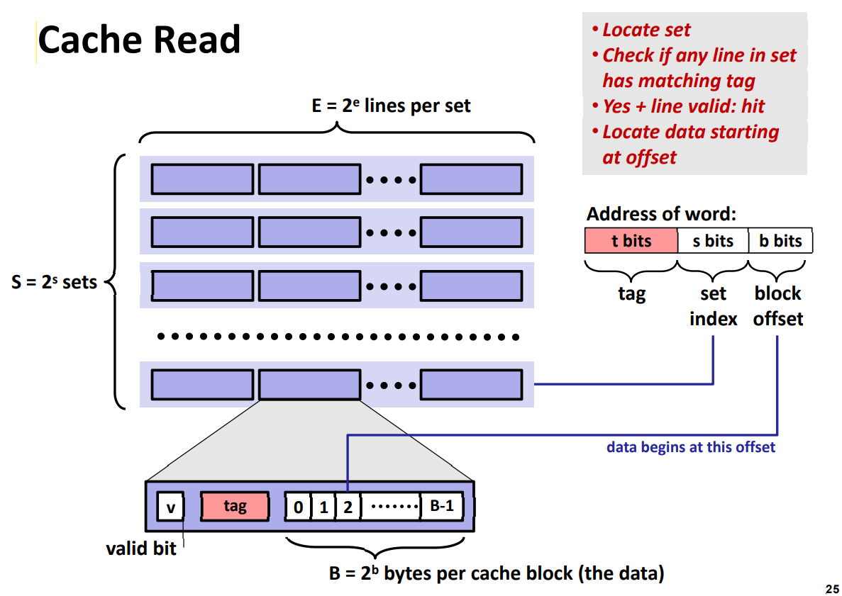cache read 的过程